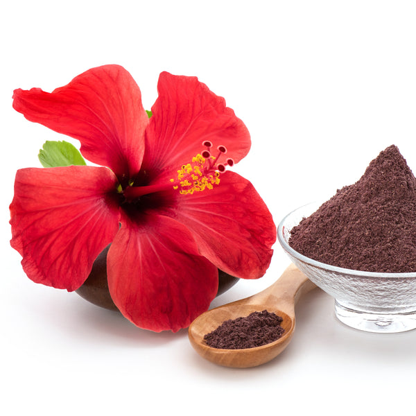 Hibiscus Extract